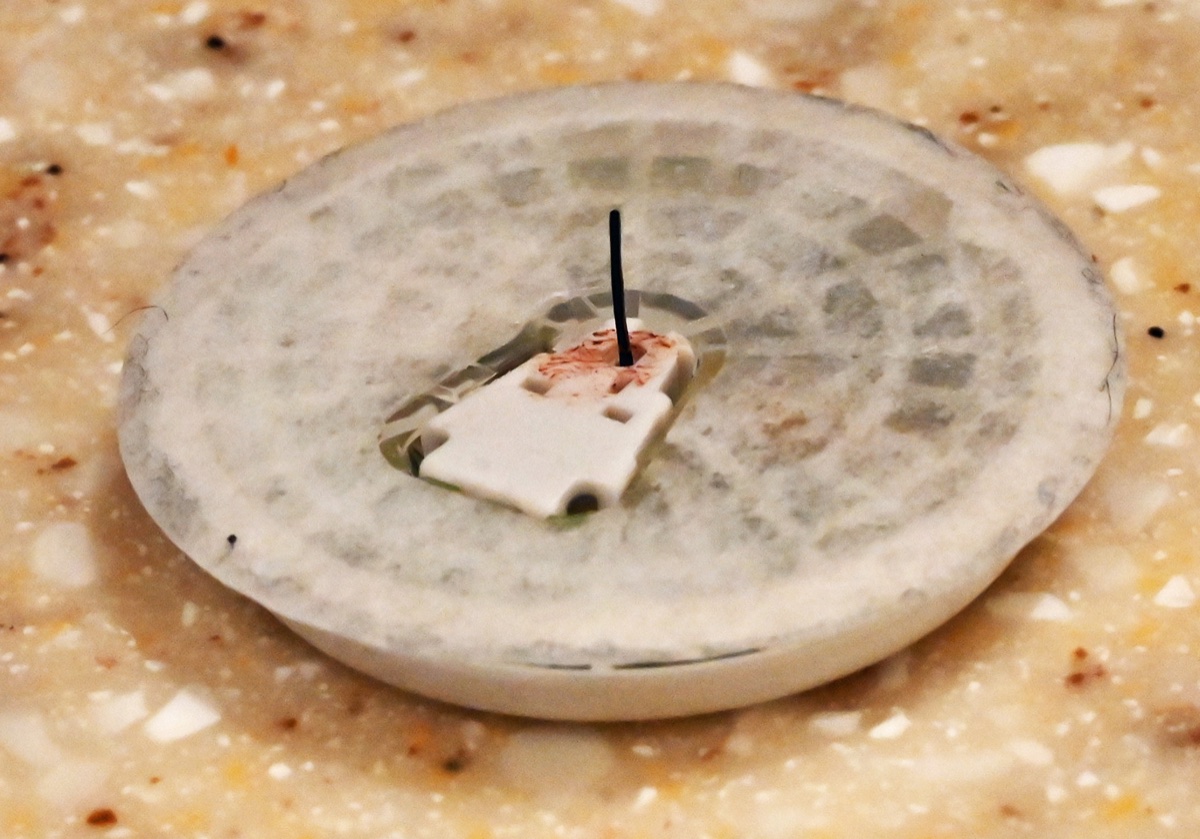 FreeStyle Libre 2 szenzor